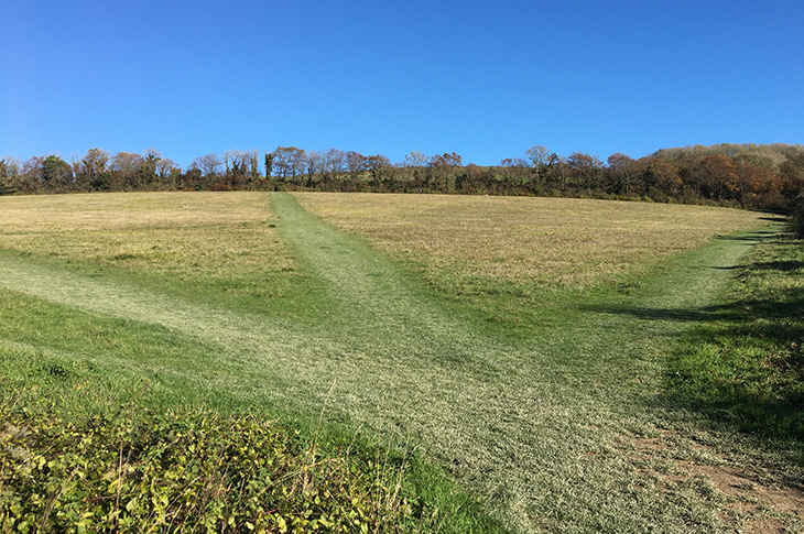 PR21-015 - View across Cissbury Fields (land at Shepherds Mead) looking towards Cissbury Ring