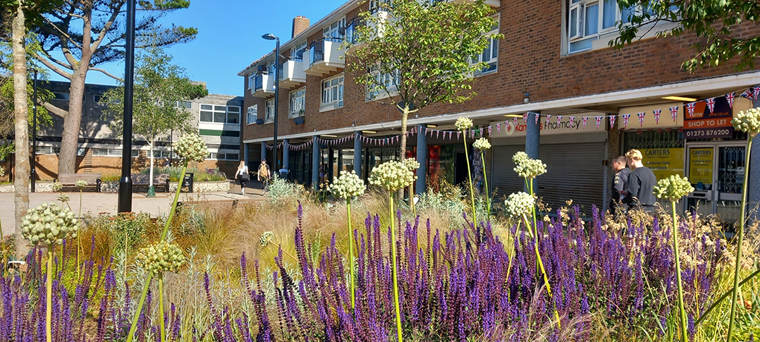 Planting in the new-look Southwick Square - June 2024 (7)