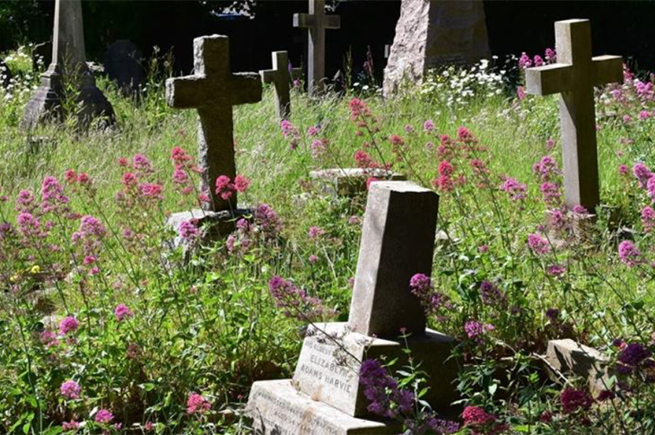 Heene Cemetery - credit/copyright: the Friends of Heene Cemetery (1)