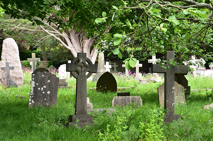 Heene Cemetery - credit/copyright: the Friends of Heene Cemetery (2)