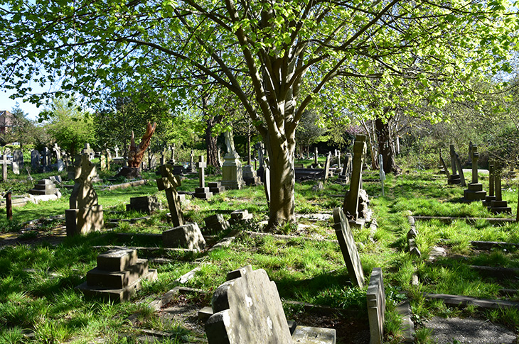 Heene Cemetery (disused) - credit & copyright of the Friends of Heene Cemetery (3)